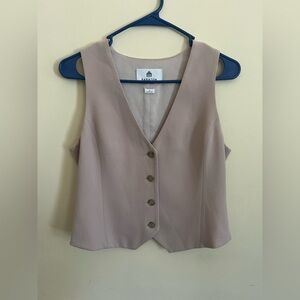 Aritzia Babaton Deniro Vest